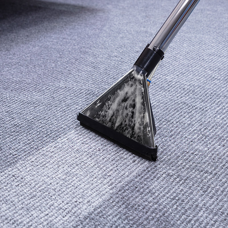 carpet-cleaning-button